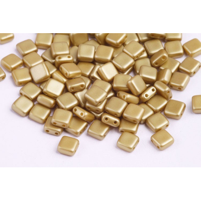 Dvoudírkové čtverečky č. 70 (6x6 mm)