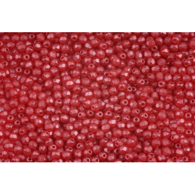 Korálky broušené 975 (3 mm)