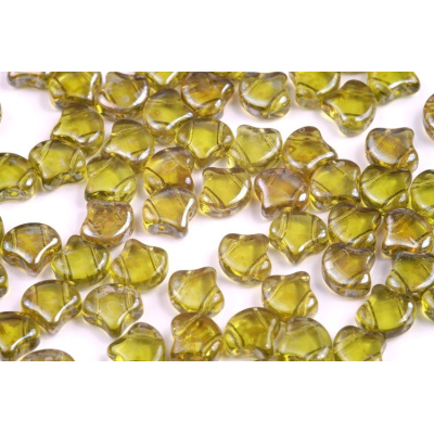 MATUBO GINKO č. 122