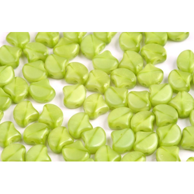 MATUBO GINKO č. 196