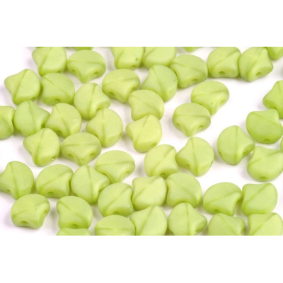 MATUBO GINKO č. 197