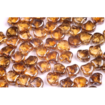 MATUBO GINKO č. 230