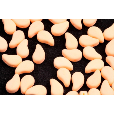 Paisley  Duo - č.83