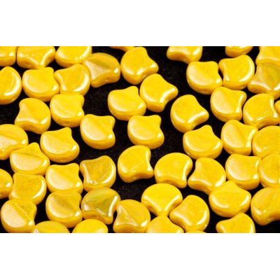 MATUBO GINKO č. 265