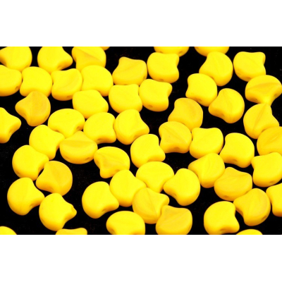 MATUBO GINKO č. 277