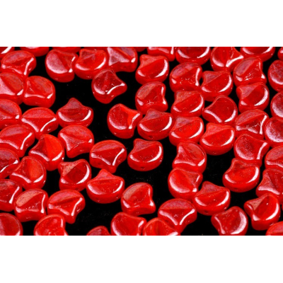 MATUBO GINKO č. 288