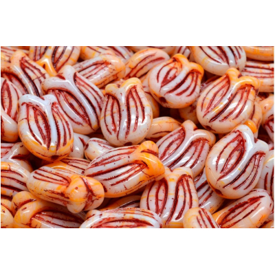 Korálky Tulip Bell (16x11 mm)  č.2089