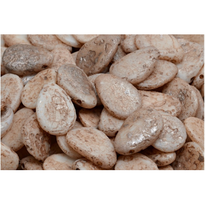 Lístek sasanky 11x16mm č. 54 (11x16mm)