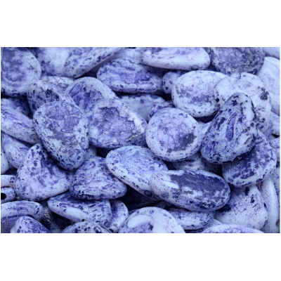 Lístek sasanky 11x16mm č. 55 (11x16mm)