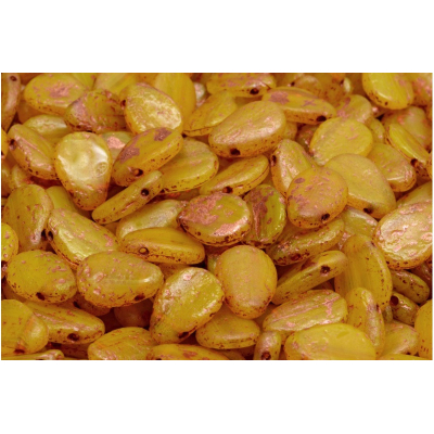 Lístek sasanky 8x11mm č. 40