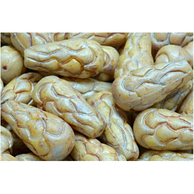 Korálky Šiška borová (25x12mm) č. 13