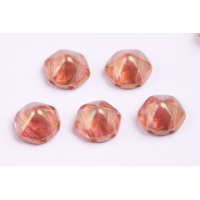 Dvoudírkový hexagon č10