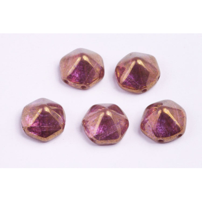 Dvoudírkový hexagon č11