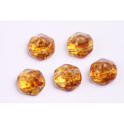 Dvoudírkový hexagon č14