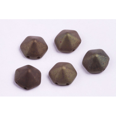 Dvoudírkový hexagon č19