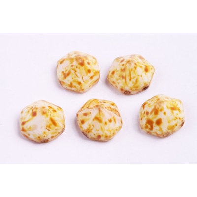 Dvoudírkový hexagon č20