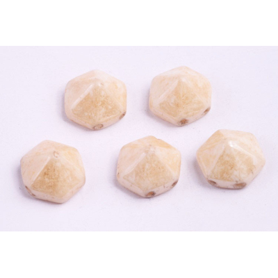 Dvoudírkový hexagon č21