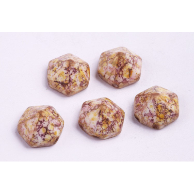 Dvoudírkový hexagon č40