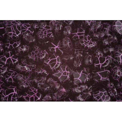 MATUBO GINKO č. 355