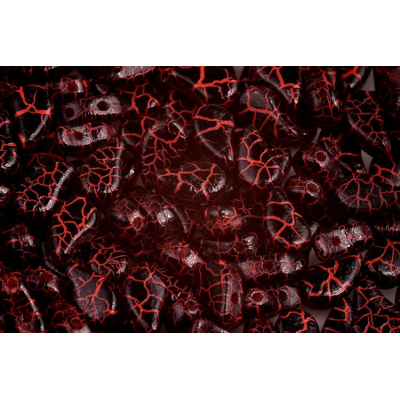 Paisley  Duo - č.136