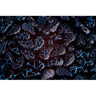 Paisley  Duo - č.138