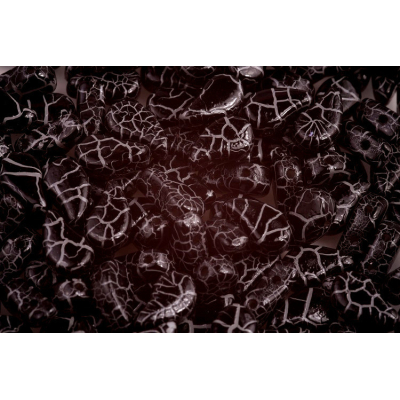 Paisley  Duo - č.139