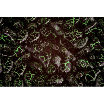 Paisley  Duo - č.140