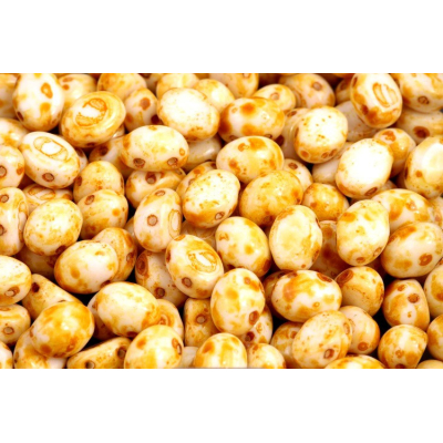 Preciosa Candy™ Oval č.48