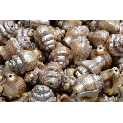 Mušle Murex č. 2610 (15x12mm)