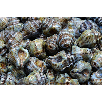 Mušle Murex č. 2614 (15x12mm)