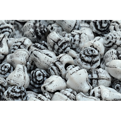 Mušle Murex č. 2615 (15x12mm)