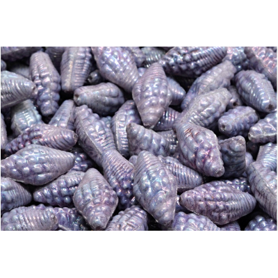 Mušle Miter č. 2343 (16X8mm)