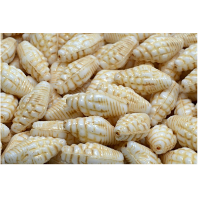 Mušle Miter č. 2347 (16X8mm)