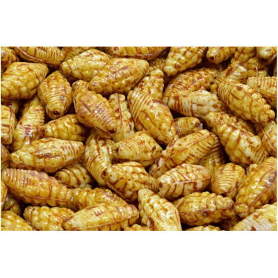 Mušle Miter č. 2352 (16X8mm)