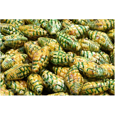 Mušle Miter č. 2353 (16X8mm)