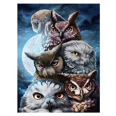 Diamantové malování - Sovy - č. 7 40 x 30 cm