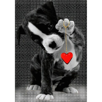 Diamantové malování - Štěně se srdcem - č. 69 40 x 30 cm