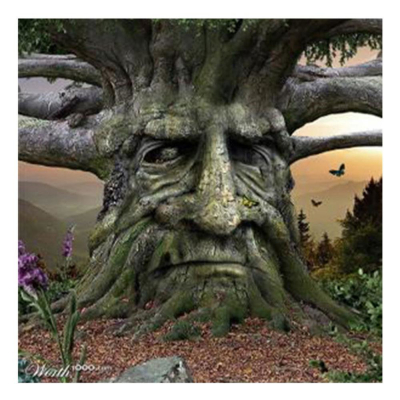 Diamantové malování - Starý strom s tváří - č. 134 30 x...