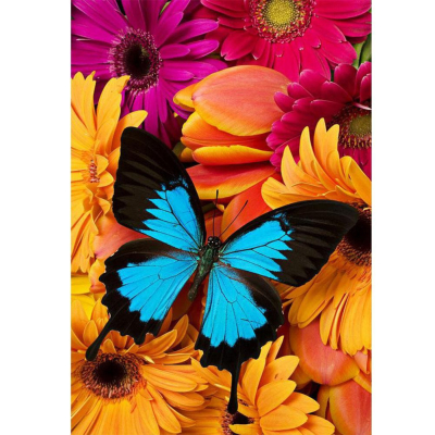 Diamantové malování - Motýl na květech - č. 143 30 x 40 cm