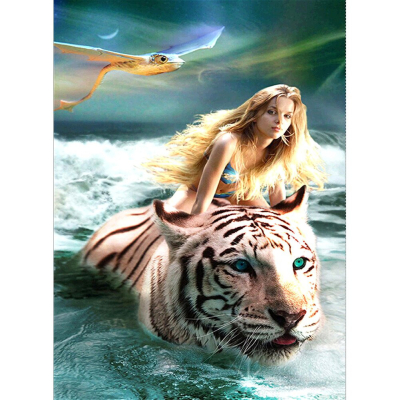 Diamantové malování - Dívka s tygrem - č. 193 30 x 40 cm