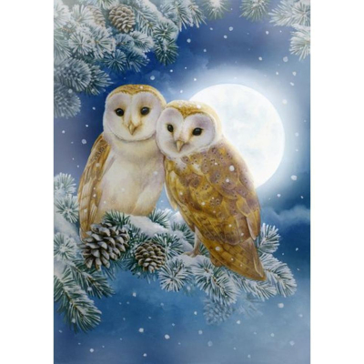Diamantové malování - Sovy za úplňku - č. 212 30x40 cm