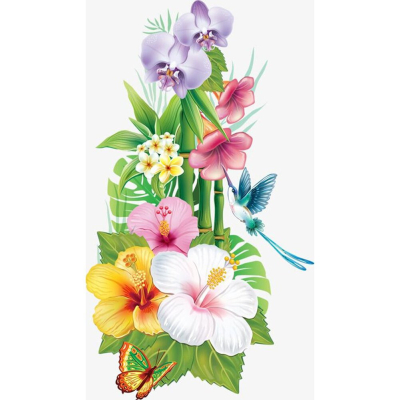 Diamantové malování - Květiny s kolibříkem - č. 226 30x50 cm