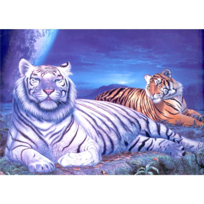 Diamantové malování - Tygři - č. 242 40x30 cm