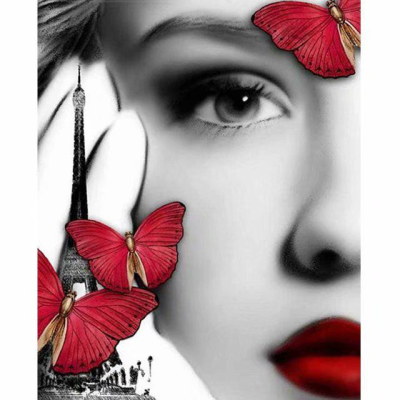 Diamantové malování - Obličej s motýly - č. 313 30x40 cm