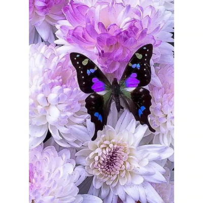Diamantové malování - Motýl na květinách - č. 332 80x40 cm