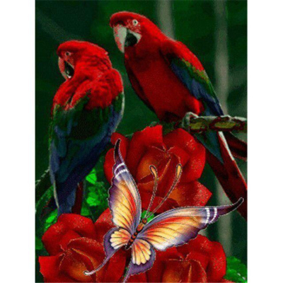 Diamantové malování - Papoušci a motýl - č. 333 50x40 cm
