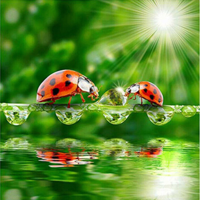 Diamantové malování - Berušky u kapky - č. 338 40x40 cm