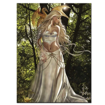 Diamantové malování - Dračí princezna - č. 418 70x50 cm