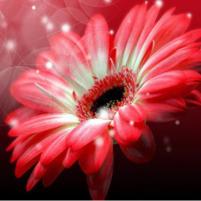 Diamantové malování - Červený květ - č. 433 50x50 cm