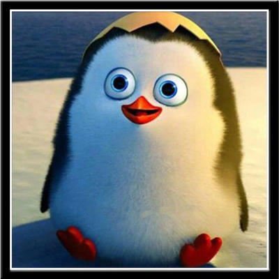 Diamantové malování - Tučnák se skořápkou - č. 462 30x30 cm